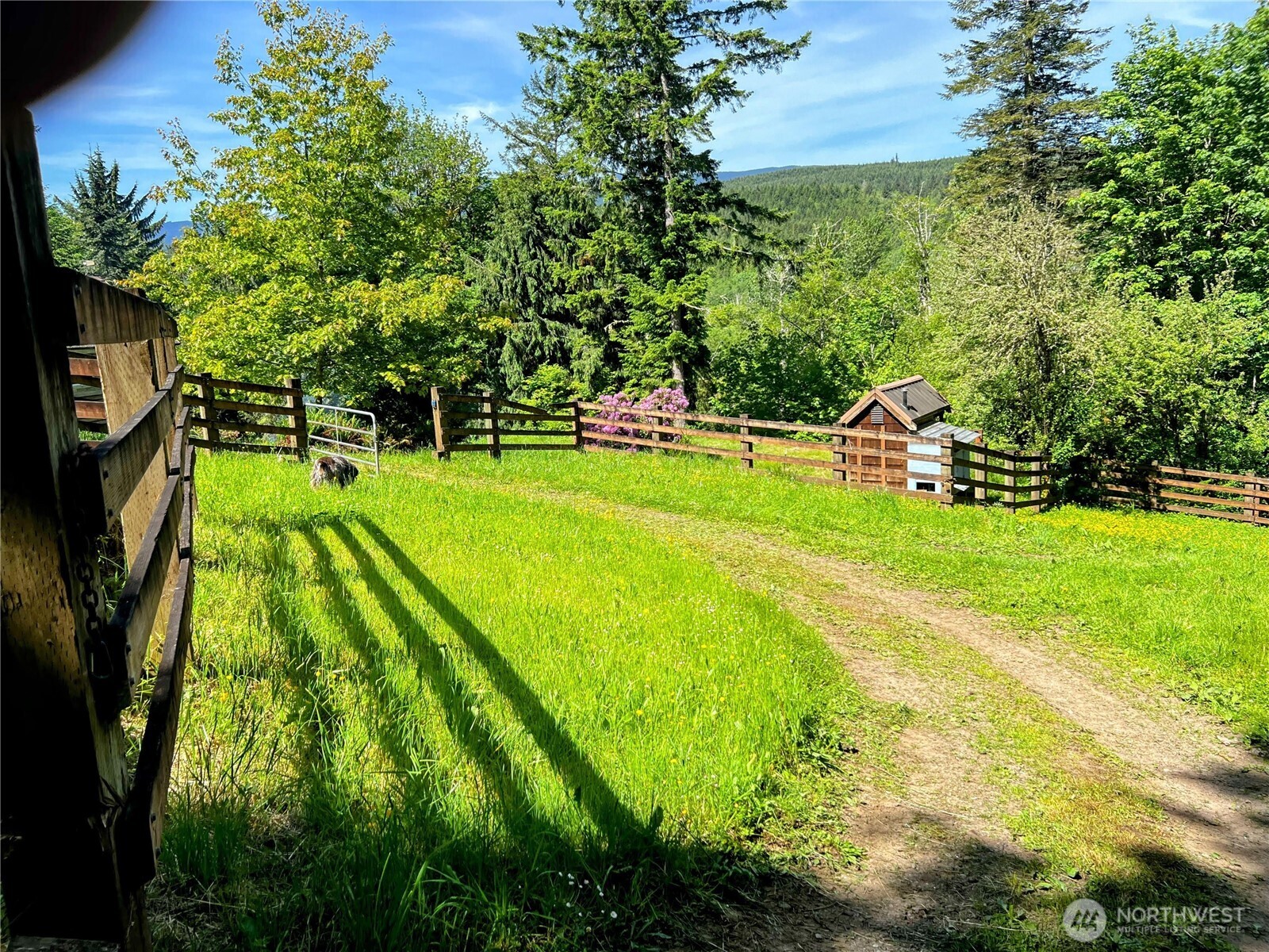 106 Crocker Lake Road Quilcene, WA 98376 - Photo 14 of 34 a view of an outdoor space and yard