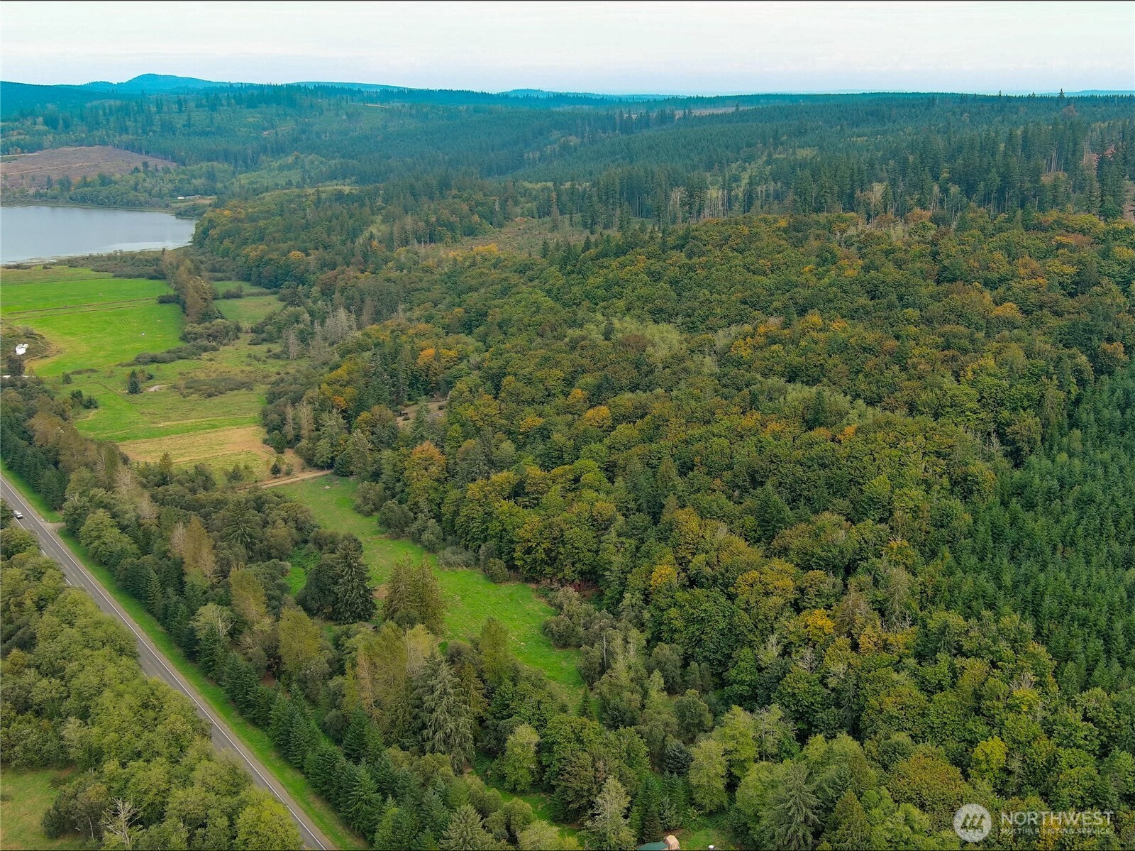 106 Crocker Lake Road Quilcene, WA 98376 - Photo 15 of 34 a view of a forest with a street
