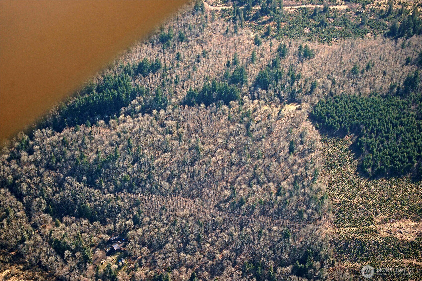 106 Crocker Lake Road Quilcene, WA 98376 - Photo 28 of 34 a view of a yard with plants and trees