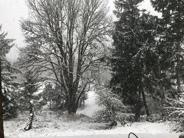 a view of white house with a snow in between