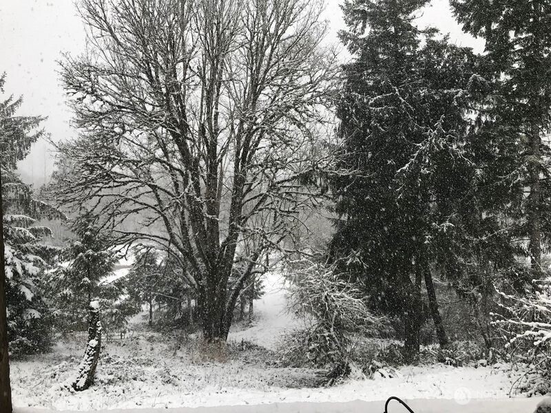 106 Crocker Lake Road Quilcene, WA 98376 - Photo 31 of 34 a backyard of a house