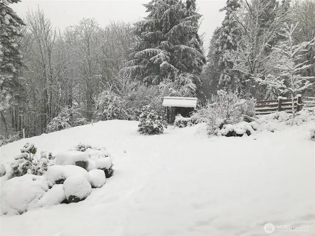 a view of a yard with a tree