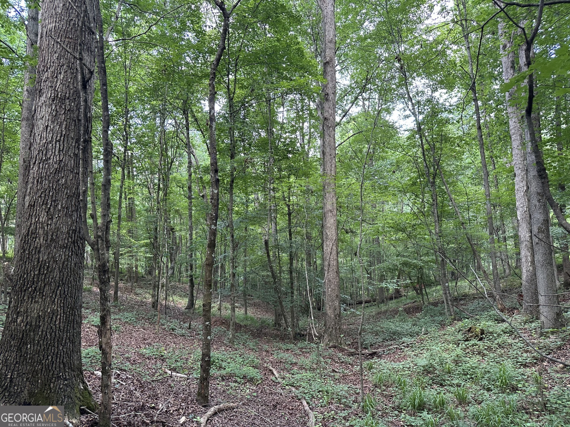 360 Happy Hollow Road Comer, GA 30629 - Photo 16 of 31