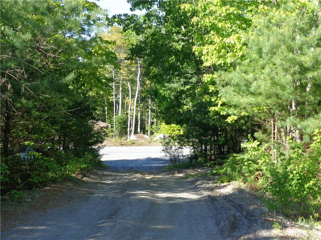 511 Bangor Road Ellsworth, ME 04605 - Photo 8 of 33 Driveway: Looking down the driveway...