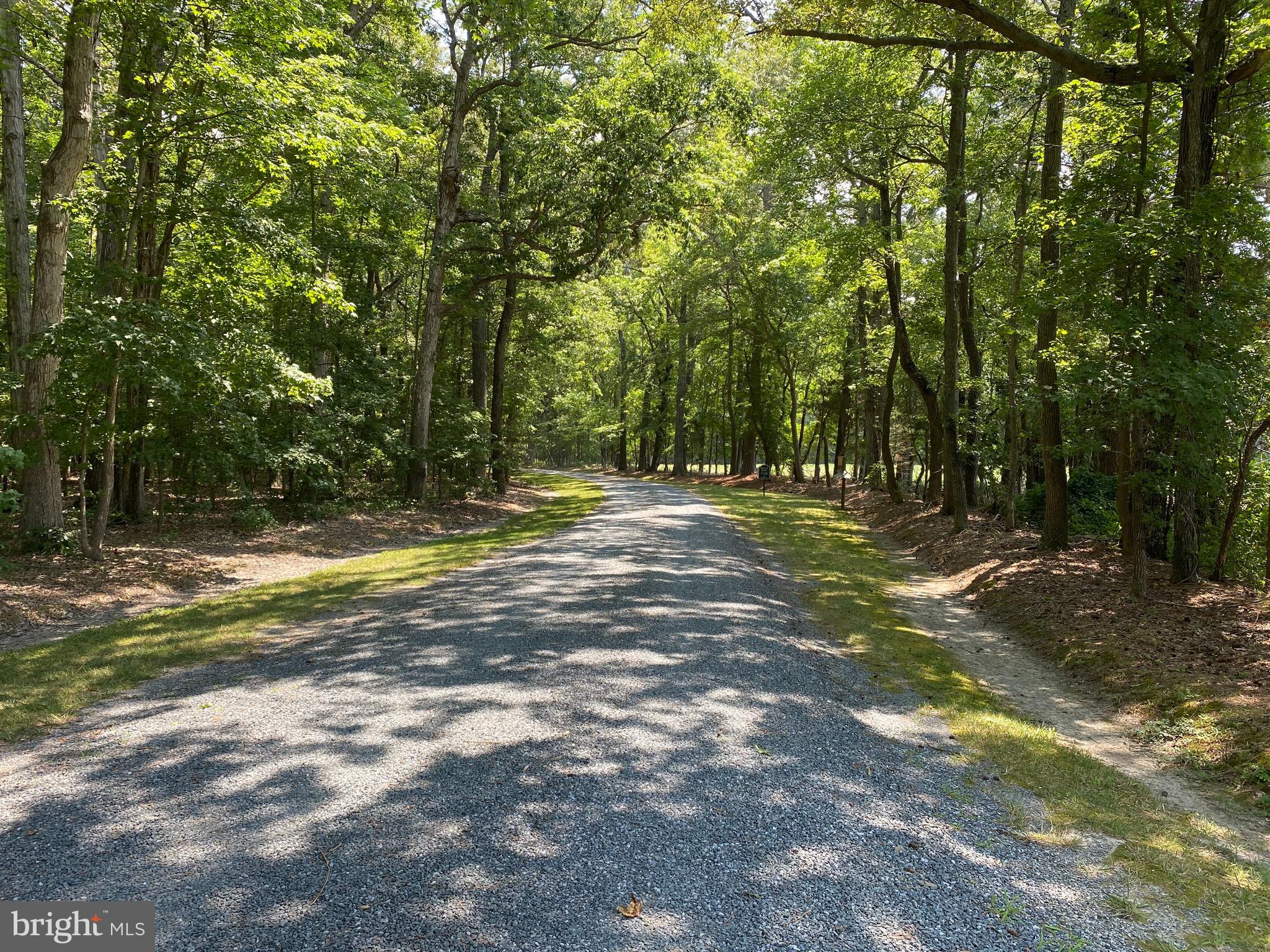 4699 World Farm Road Oxford, MD 21654 - Photo 43 of 64 beautiful wooded approach