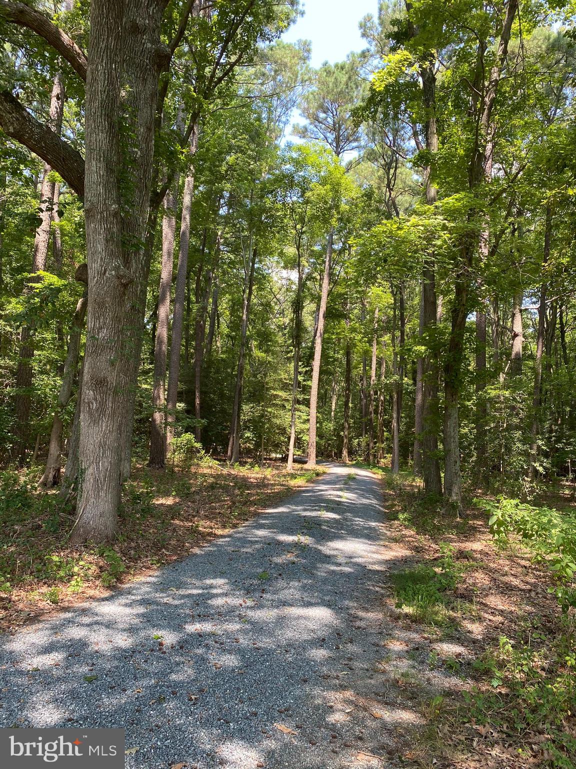 4699 World Farm Road Oxford, MD 21654 - Photo 45 of 64 private land through the woods