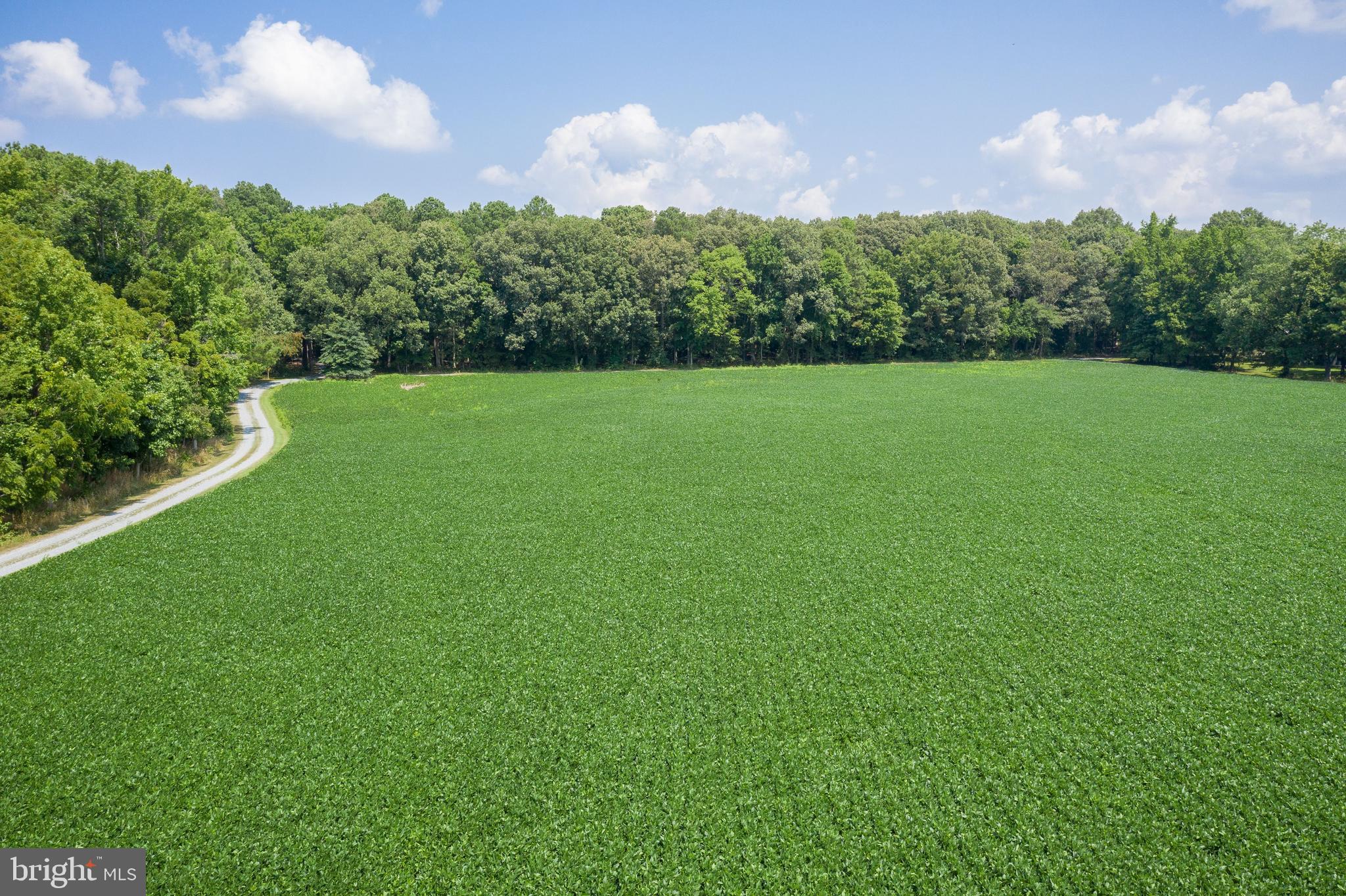 4699 World Farm Road Oxford, MD 21654 - Photo 50 of 64 plenty of room for a pool