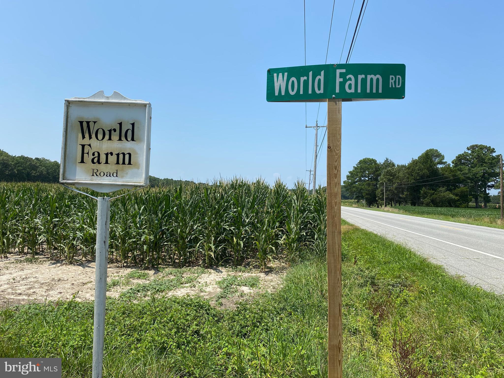 4699 World Farm Road Oxford, MD 21654 - Photo 54 of 64 Oxford 3 miles