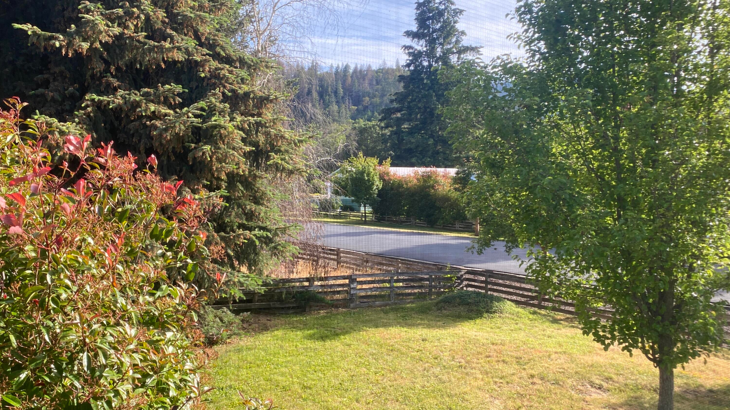 6901 Old Stage Road, Unit 10 Central Point, OR 97502 - Photo 43 of 43 IMG_8871