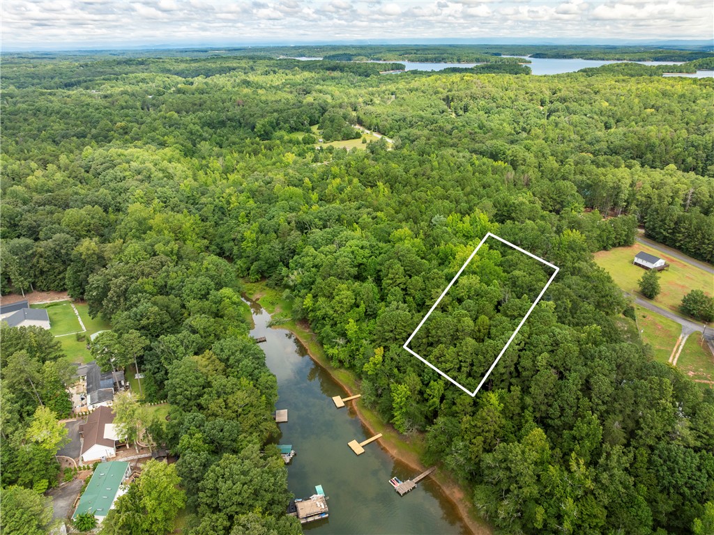 1 Pinetree Road Townville, SC 29689 - Photo 1 of 13