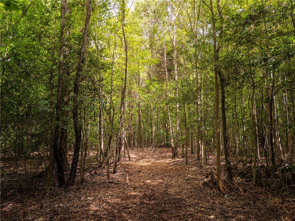 1 Pinetree Road Townville, SC 29689 - Photo 12 of 13