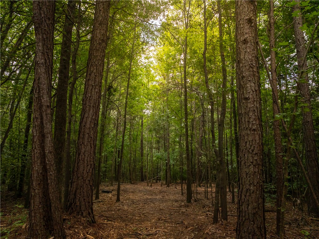 1 Pinetree Road Townville, SC 29689 - Photo 13 of 13