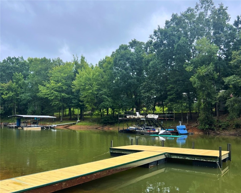 1 Pinetree Road Townville, SC 29689 - Photo 2 of 13
