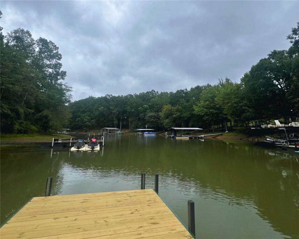 1 Pinetree Road Townville, SC 29689 - Photo 3 of 13