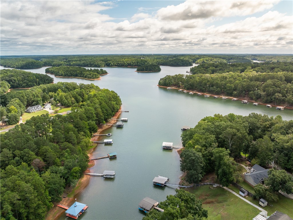 1 Pinetree Road Townville, SC 29689 - Photo 5 of 13