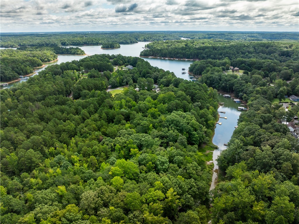1 Pinetree Road Townville, SC 29689 - Photo 8 of 13