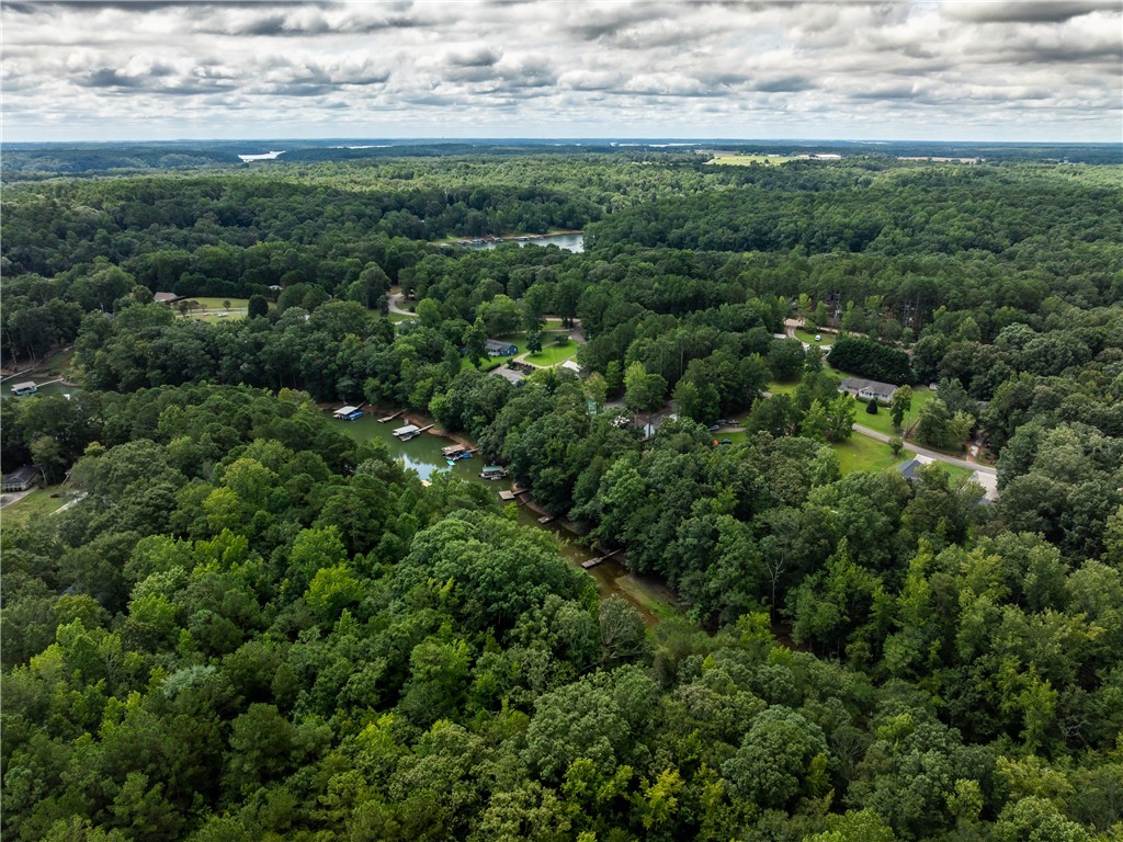 1 Pinetree Road Townville, SC 29689 - Photo 9 of 13