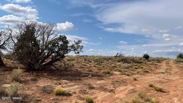 Tbd Tbd Snowflake Ranch Snowflake, AZ 85937 - Photo 2 of 3