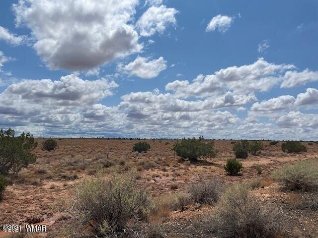 Tbd Tbd Snowflake Ranch Snowflake, AZ 85937 - Photo 3 of 3