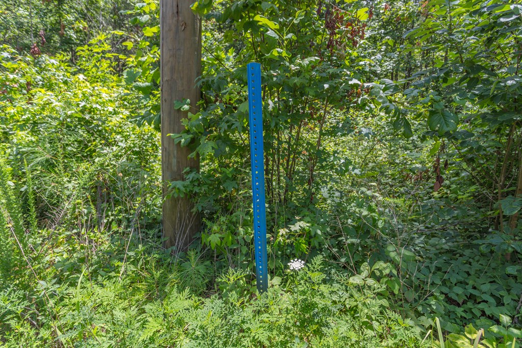 2 Ledford Road, Unit 2 Cohutta, GA 30710 - Photo 7 of 9