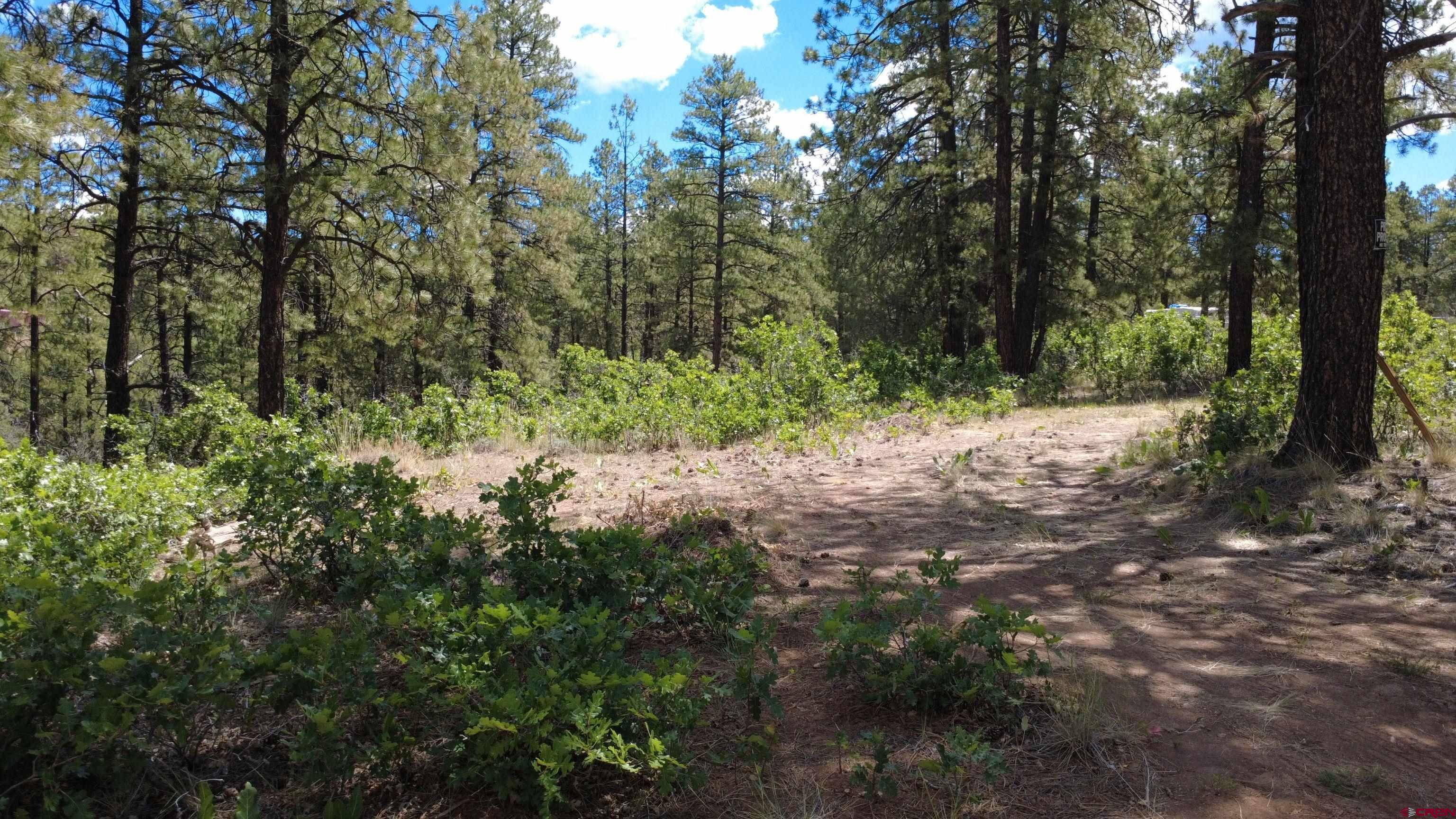 121 Engineer Point Pagosa Springs, CO 81147 - Photo 6 of 43