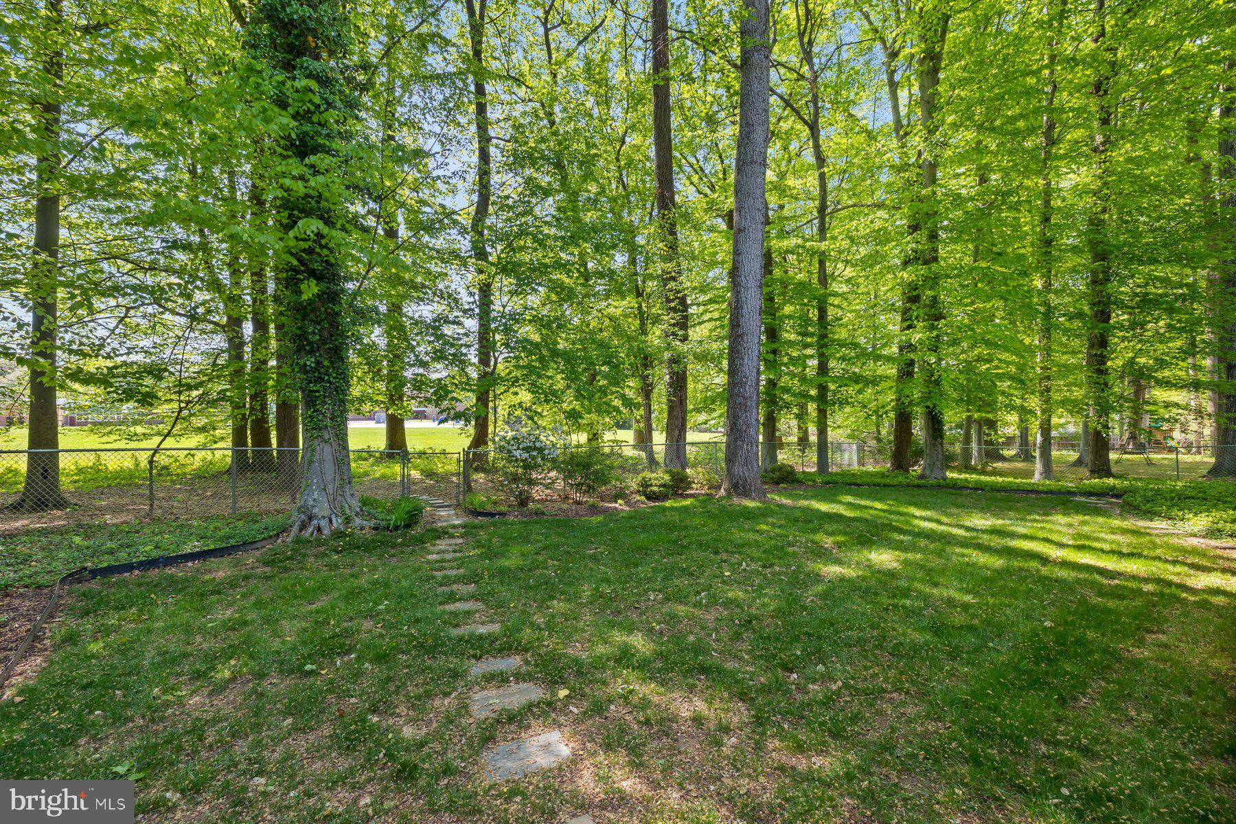 13820 Flint Rock Road Rockville, MD 20853 - Photo 50 of 50 a view of a trees with a big yard
