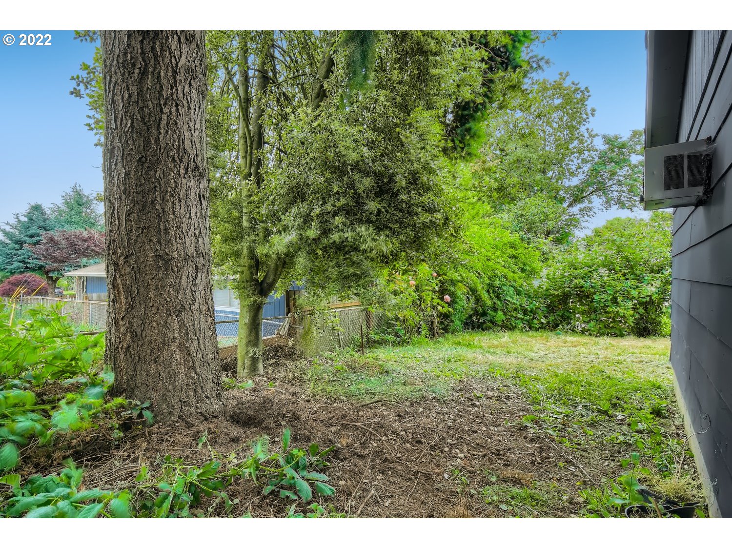 7109 North Sedro Street Portland, OR 97203 - Photo 28 of 28 a view of a yard with a tree