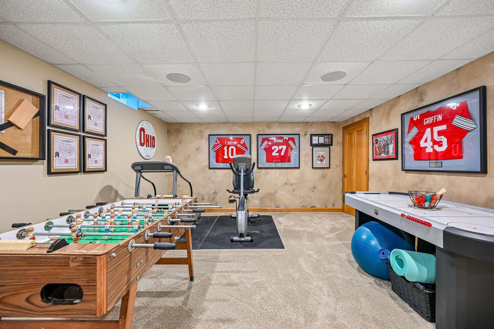 8310 Dublin Road Delaware, OH 43015 - Photo 34 of 62 Rec Room