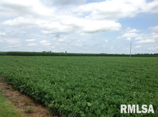 16902 West Pleasant Grove Road Trivoli, IL 61569 - Photo 9 of 17