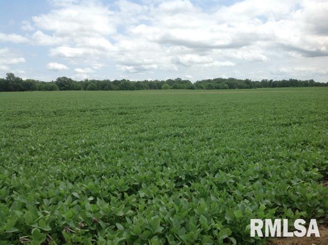 16902 West Pleasant Grove Road Trivoli, IL 61569 - Photo 10 of 17