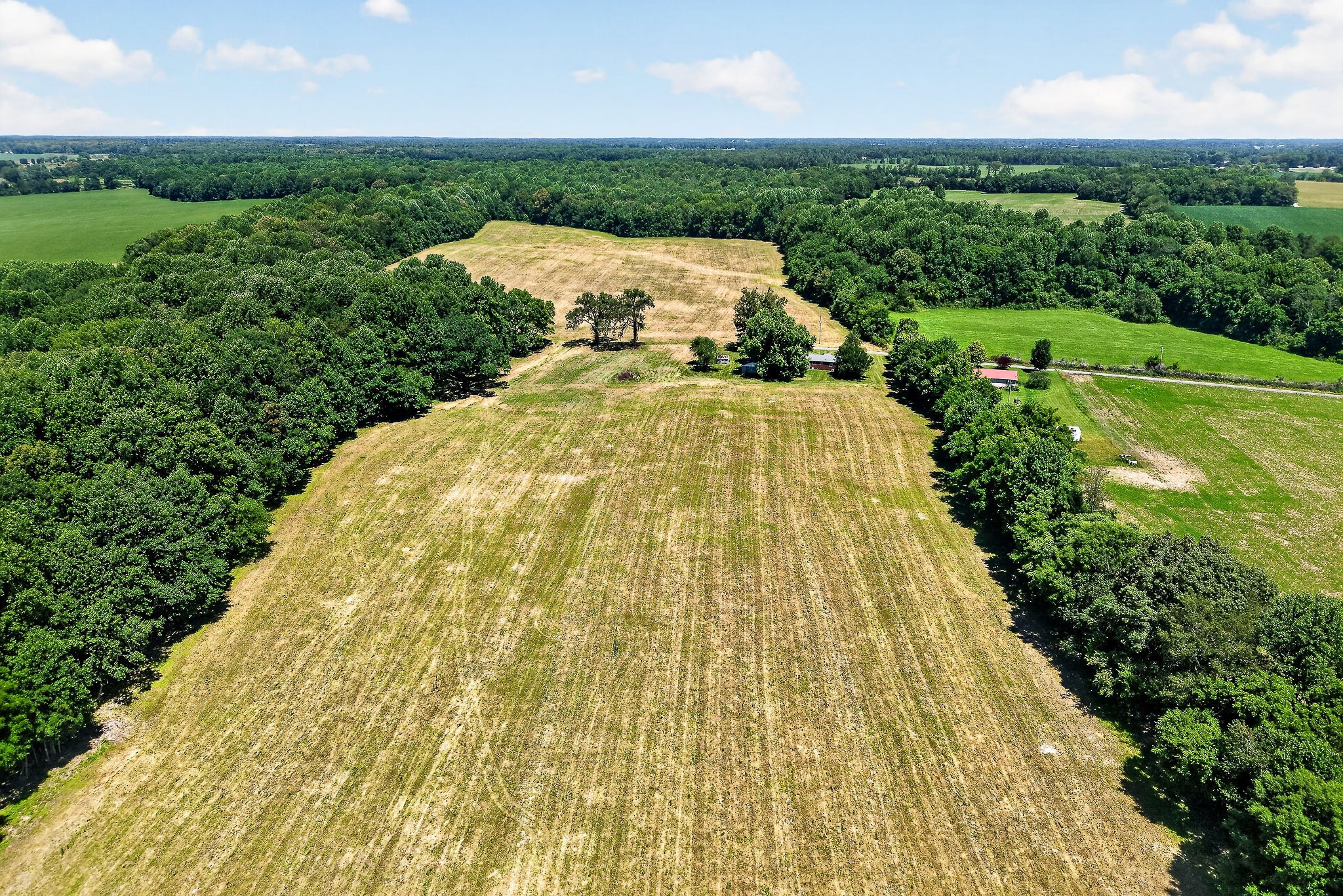 0 Lowery Road Smithville, TN 37166 - Photo 12 of 13