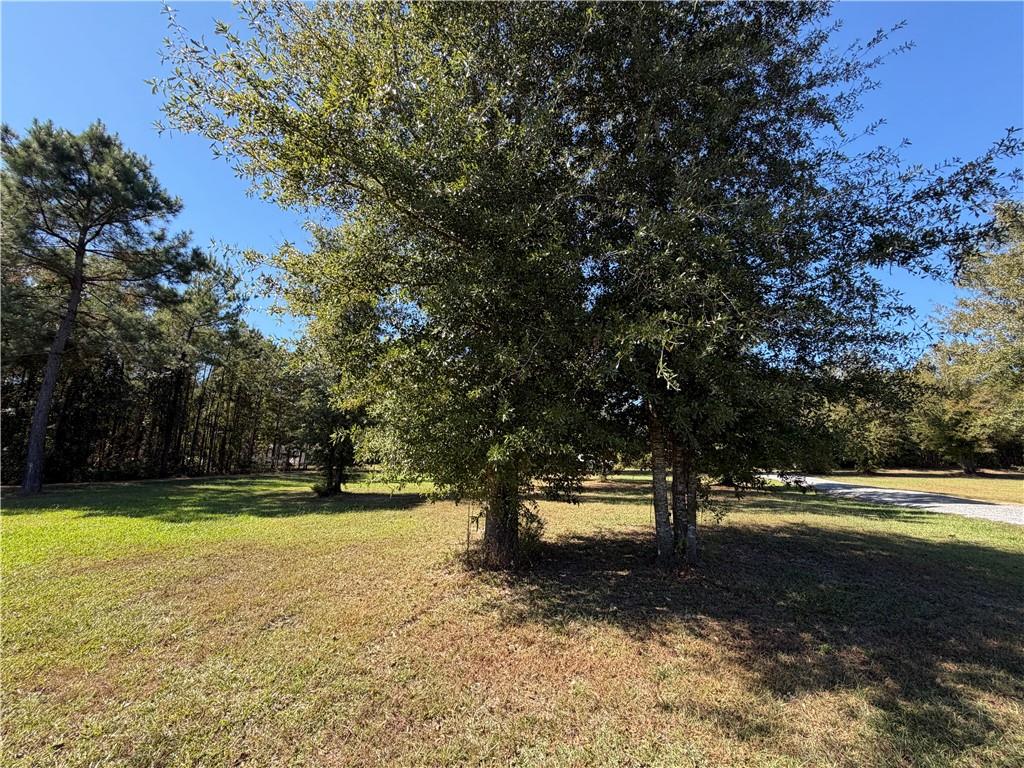 773 East Meade Road Pollock, LA 71467 - Photo 14 of 35