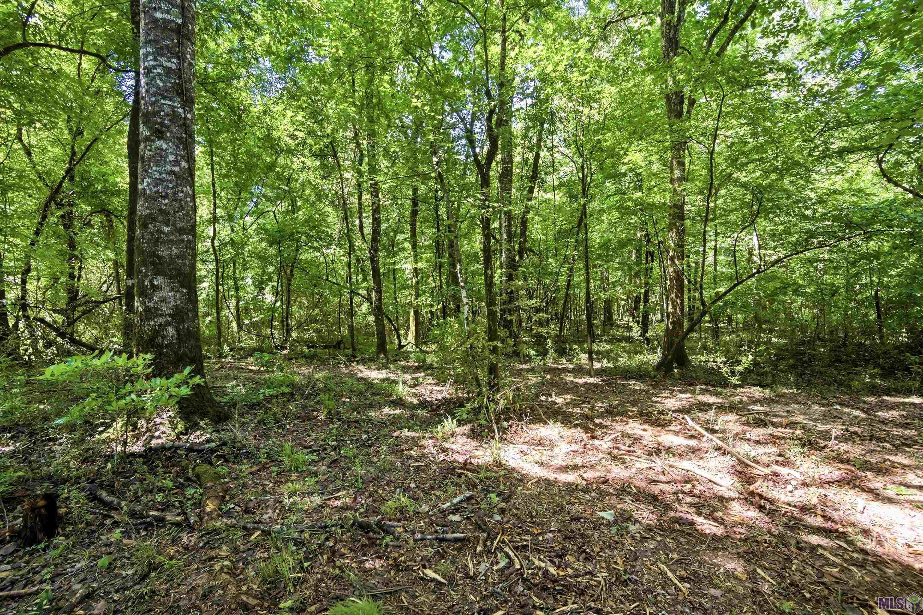 6257 Upper C C Road Clinton, LA 70722 - Photo 7 of 18