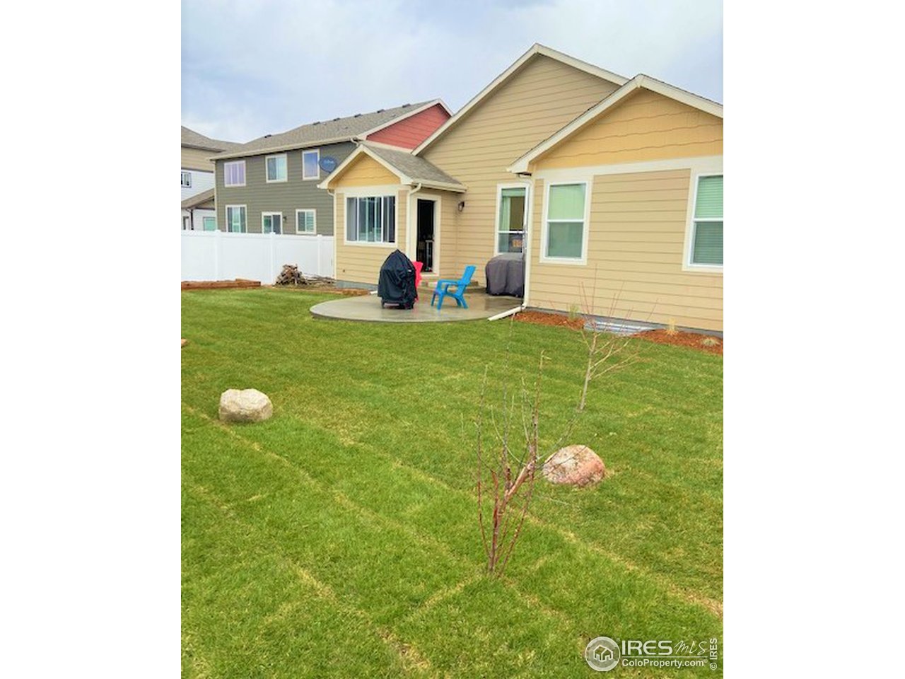 7591 McClellan Road Wellington, CO 80549 - Photo 39 of 40 Backyard with new sod