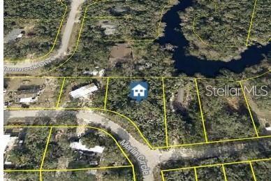 0 Merlin Circle Dade City, FL 33523 - Photo 8 of 8