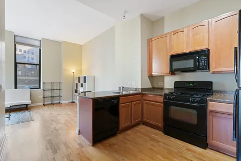 $309,500 | 8 West Monroe Street, Unit 1007, Chicago, IL 60603