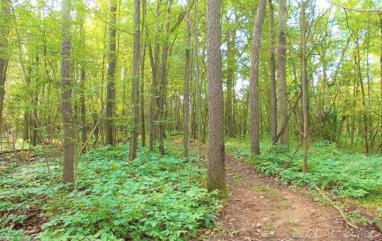 0 Patterson Road Ubly, MI 48475 - Photo 2 of 5