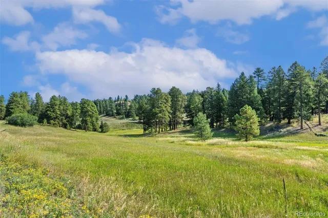 a view of a lake with a building in the background