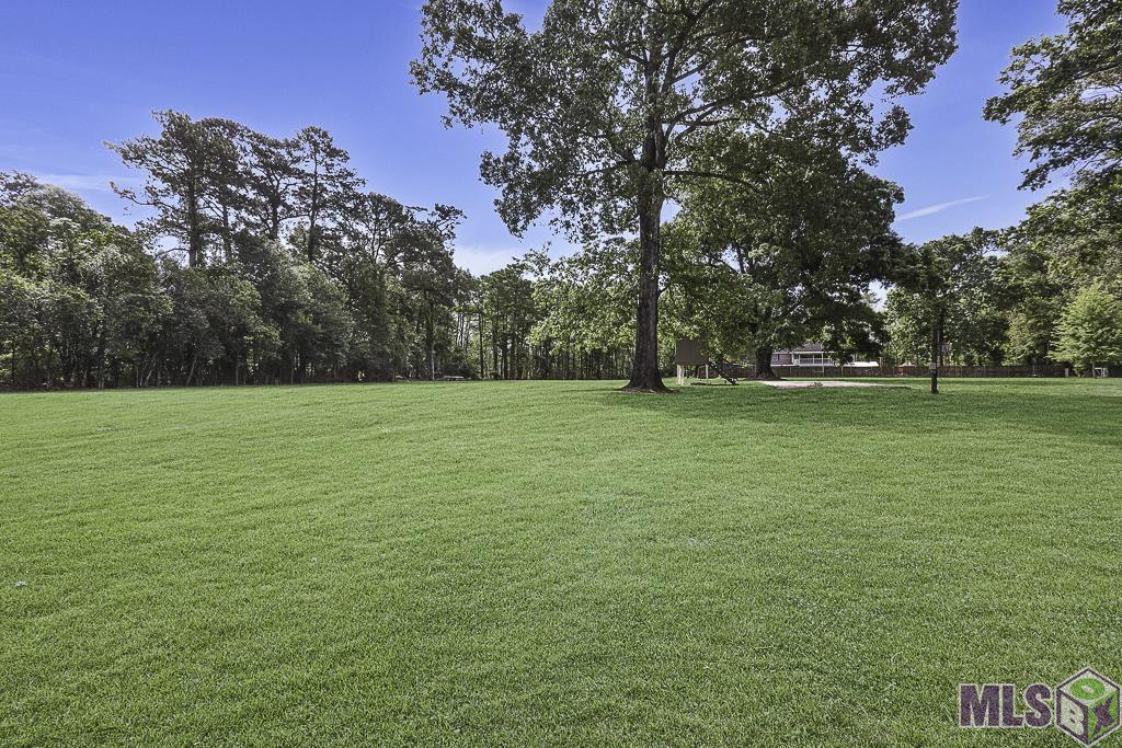 18485 H H Wilson Road Prairieville, LA 70769 - Photo 50 of 54