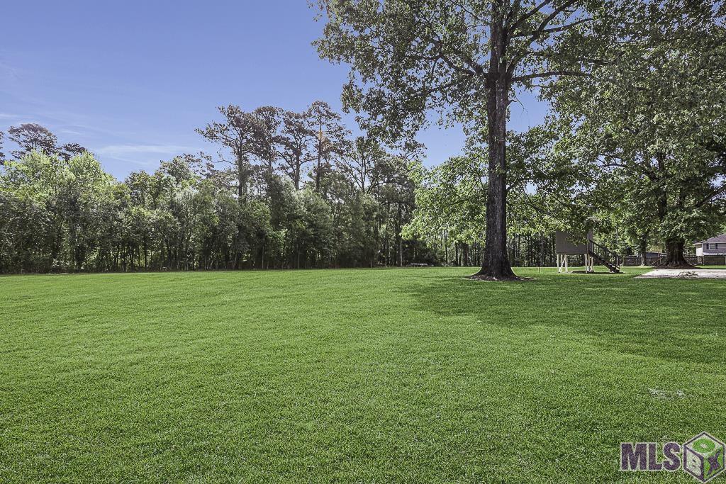 18485 H H Wilson Road Prairieville, LA 70769 - Photo 51 of 54