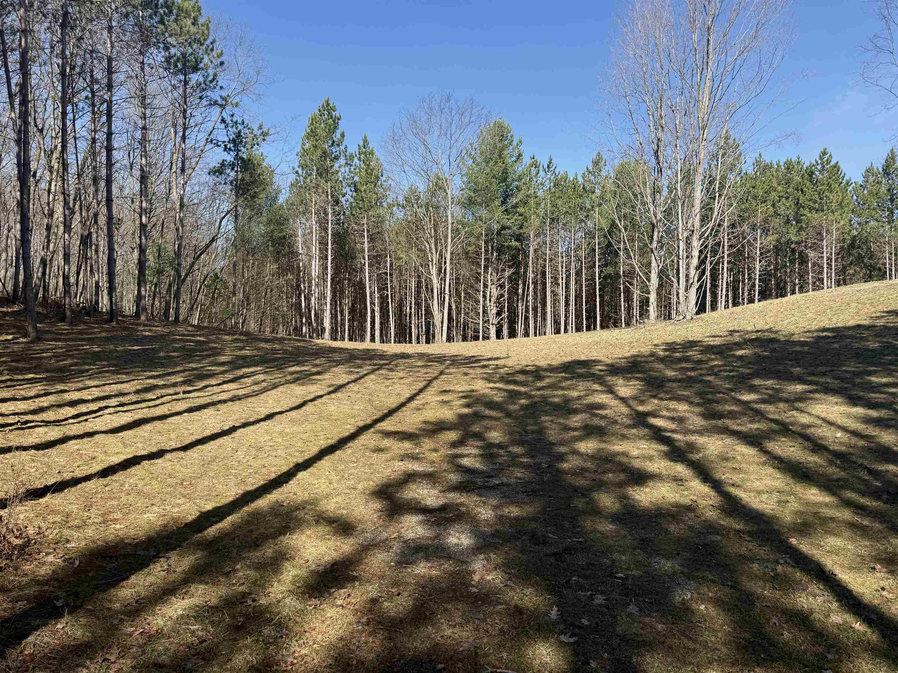 3041 Dockery Road East, Unit LOT: 2 Williamsburg, MI 49690 - Photo 5 of 18