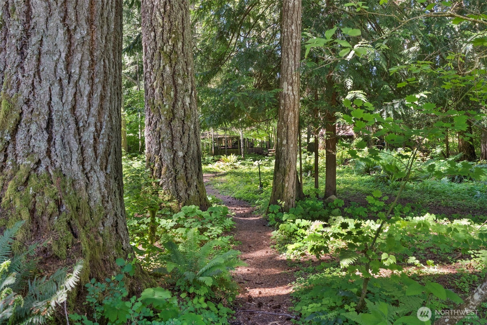 155 Bonell Road Randle, WA 98377 - Photo 32 of 38 a view of outdoor space and trees