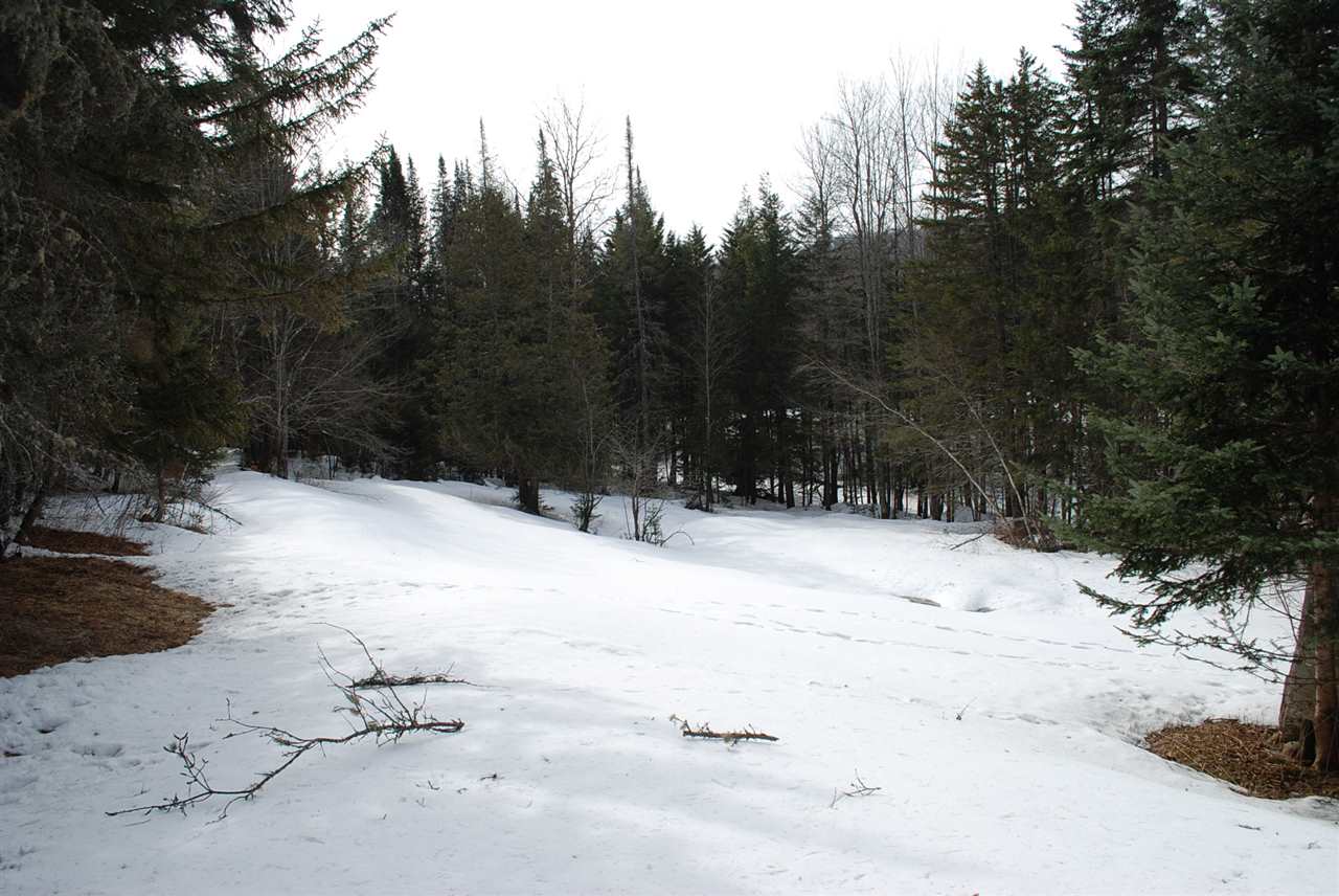 70 Showacre Road Moretown, VT 05660 - Photo 2 of 40
