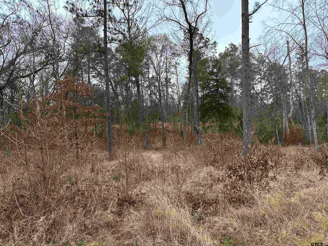 a view of a lake with a tree
