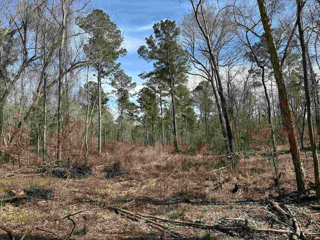 a view of swimming pool with a yard