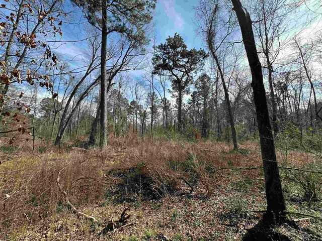 a view of a backyard of a house