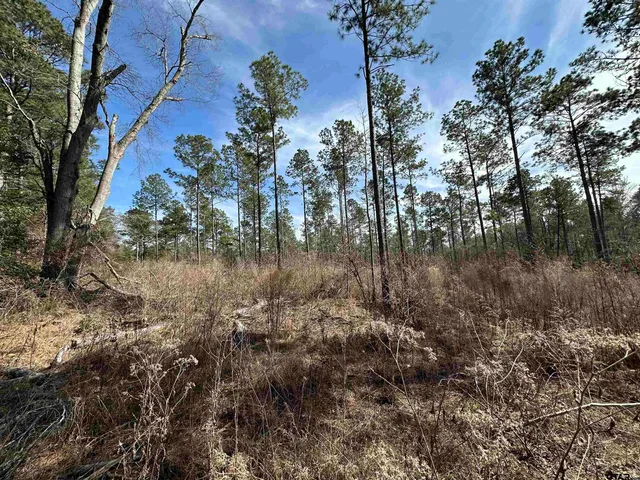 a view of a lake with a yard