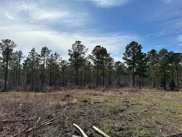 a view of lake with green space