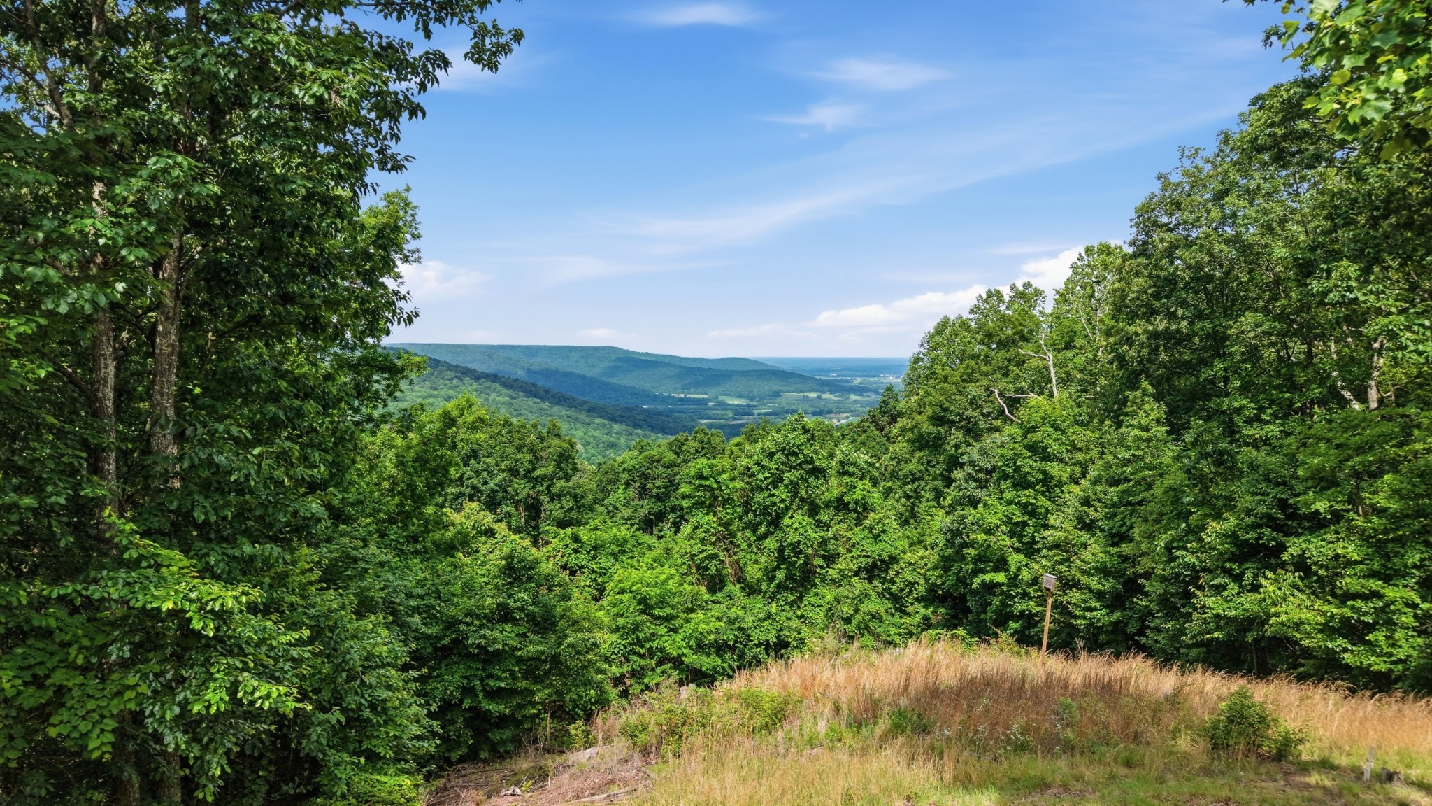 705 North Campbell Road Altamont, TN 37301 - Photo 89 of 97 Gallery Image 89