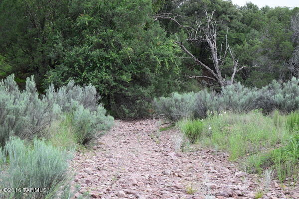 Umpire Ranch Road Elgin, AZ 85611 - Photo 12 of 27